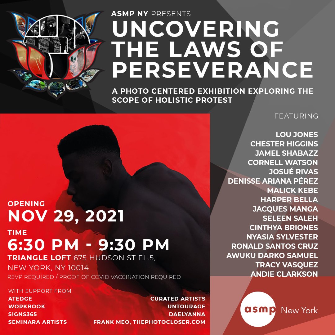 ASMP + Curated:  Uncovering The Laws of Perseverance