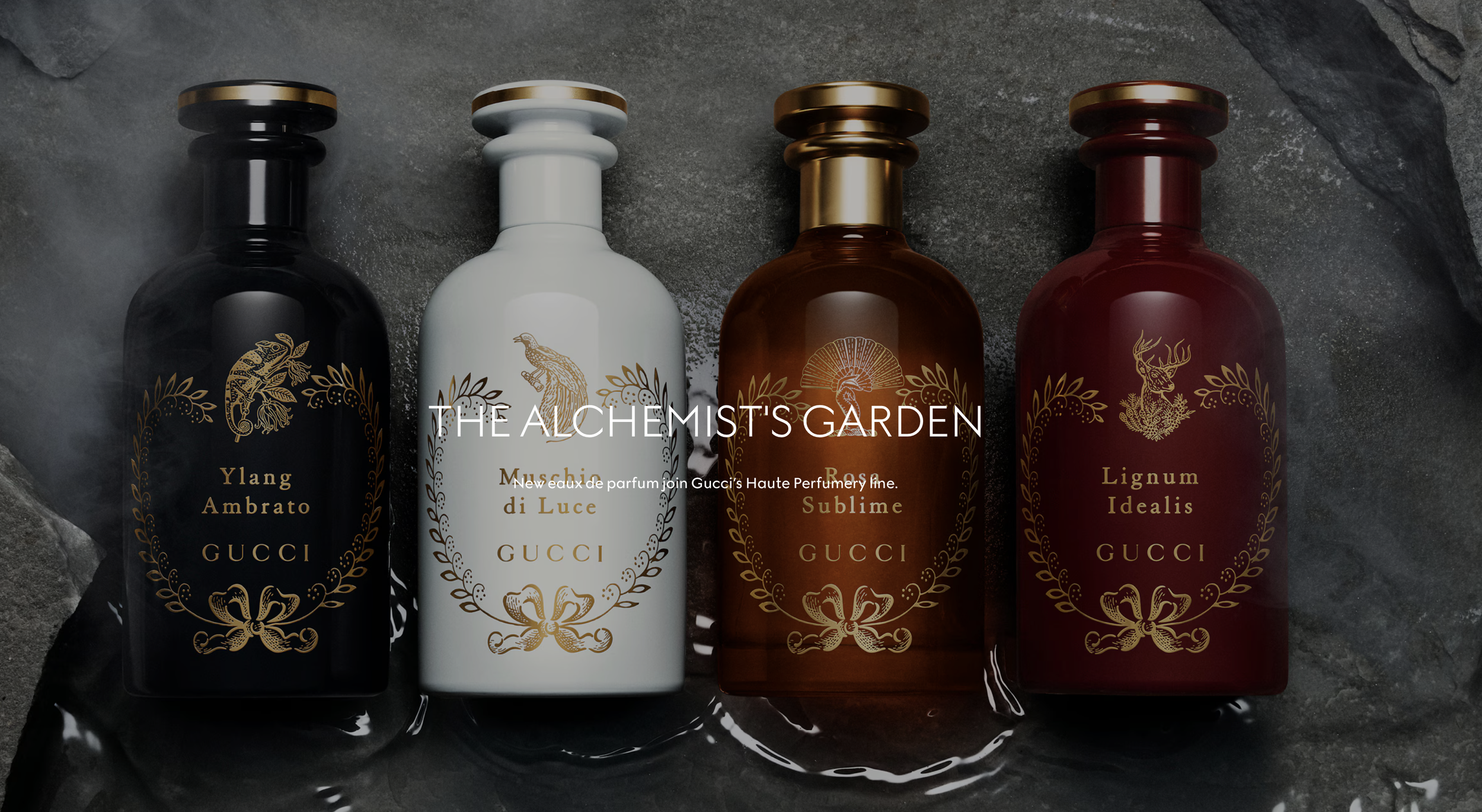 GUCCI + Curated/ Fine-Artist Paulette Tavormina 