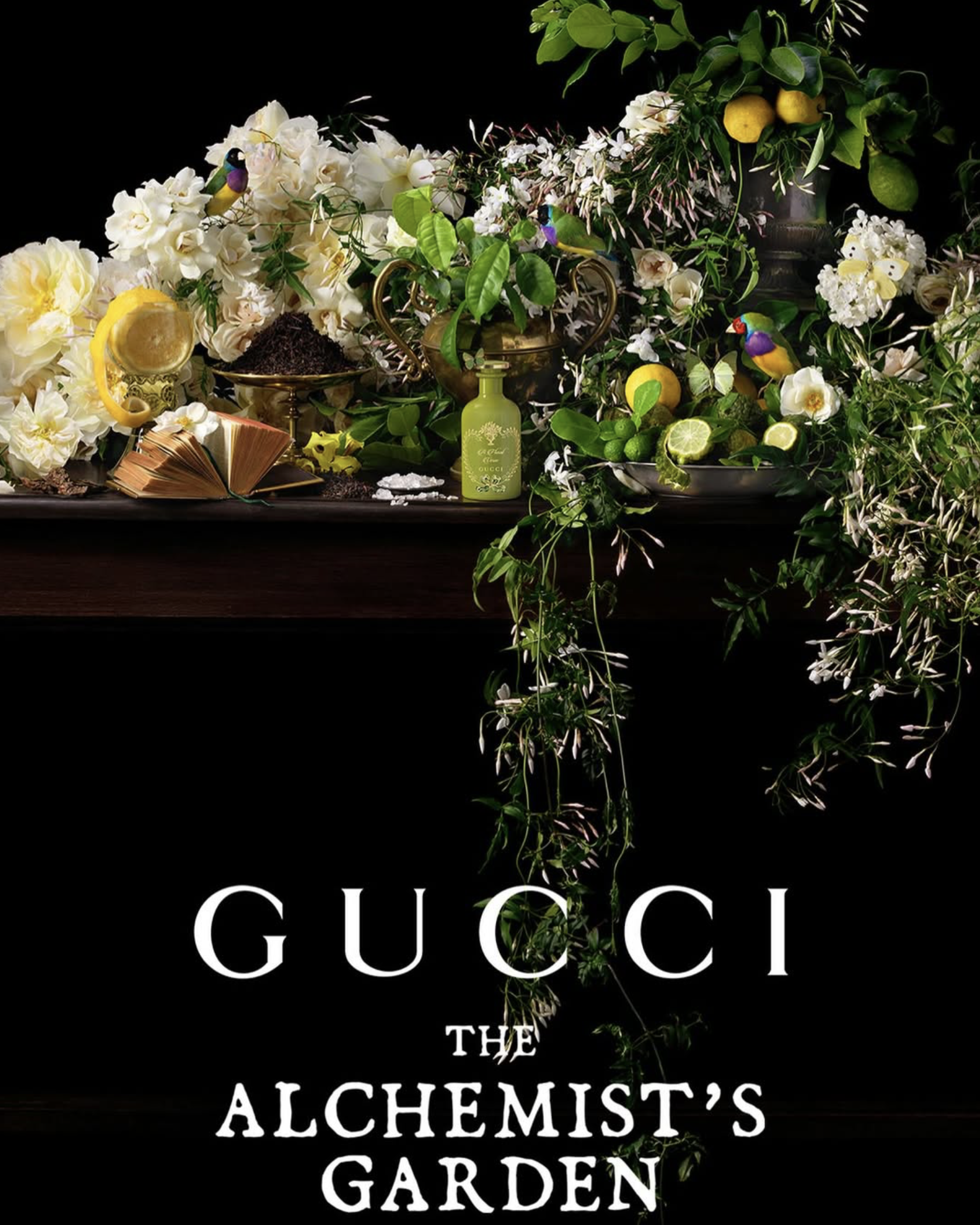 Seizing Beauty for Gucci: Representing Paulette Tavormina for The Alchemist’s Garden