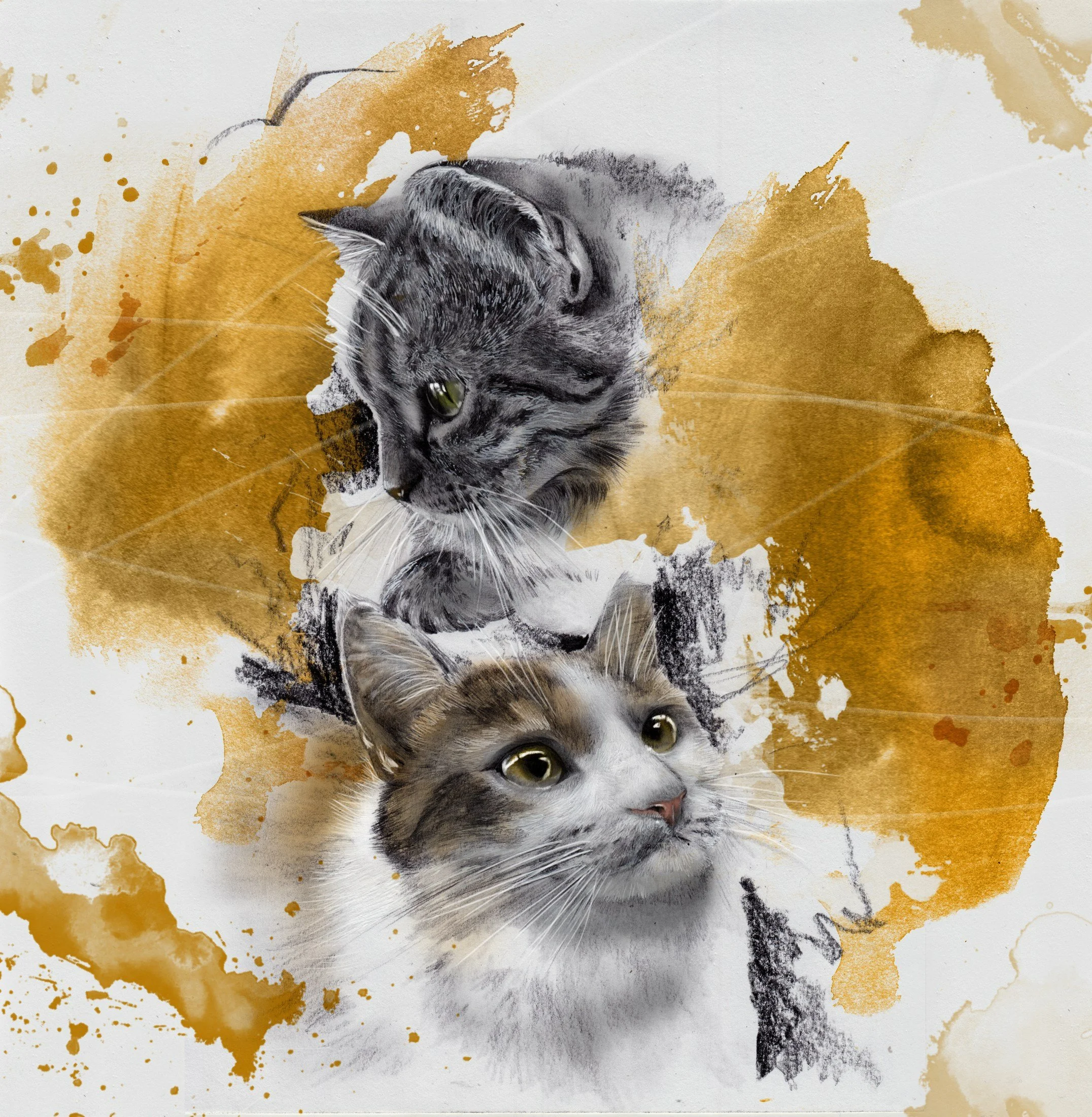 53-mitja-bokun-animals.jpg