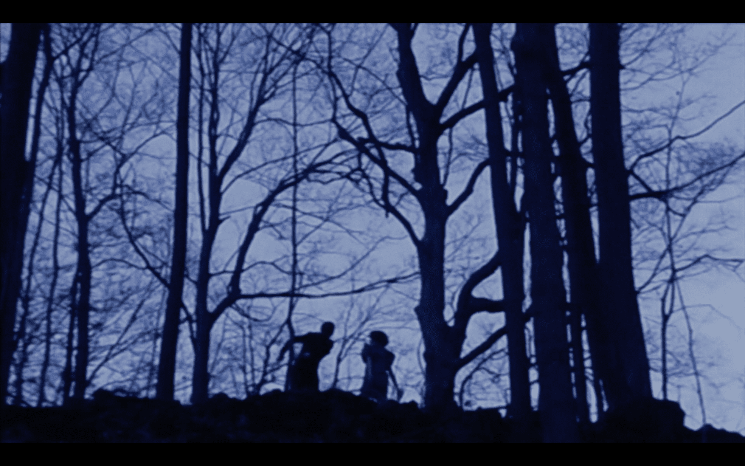 Screen+Shot+2018-01-19+at+12.14.10+PM.png.webp