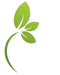 Ami - leaf.png