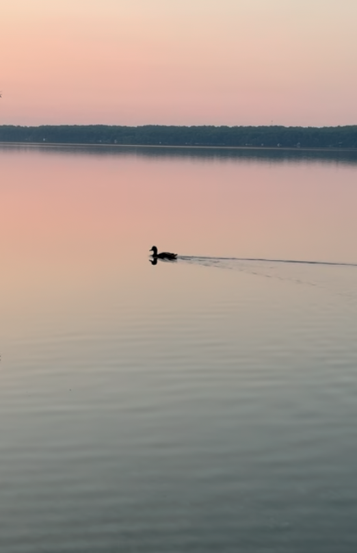 The Quiet Work of Leadership