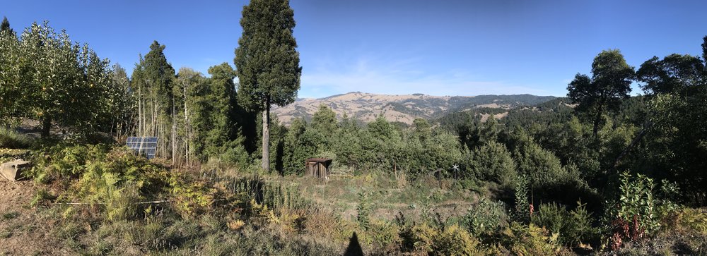 Alpenglow Farms pano.jpg