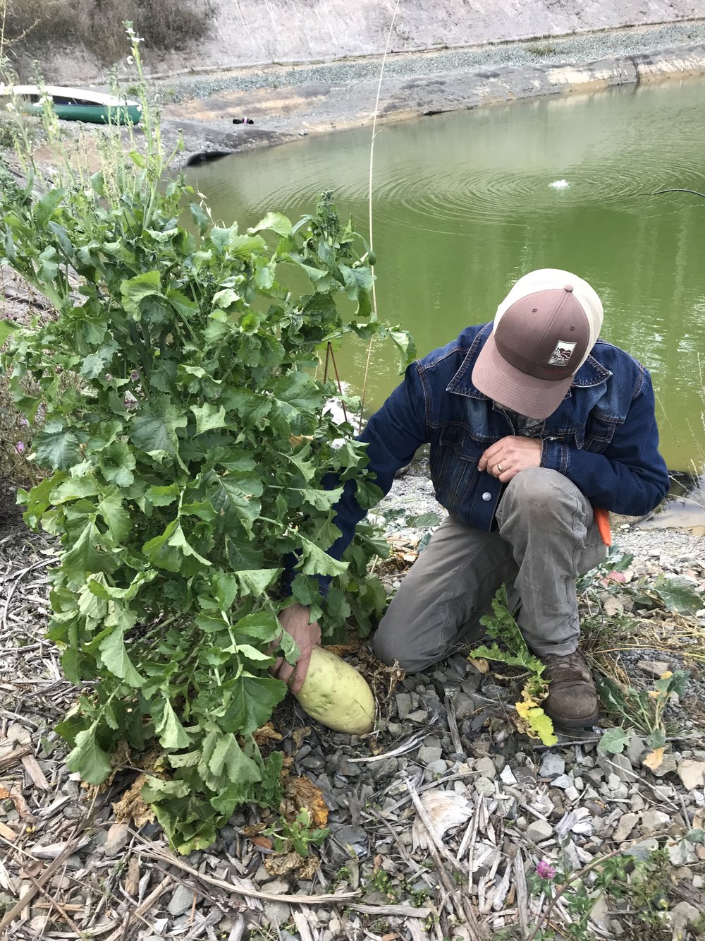 Regenerative Farming Tour (Copy)