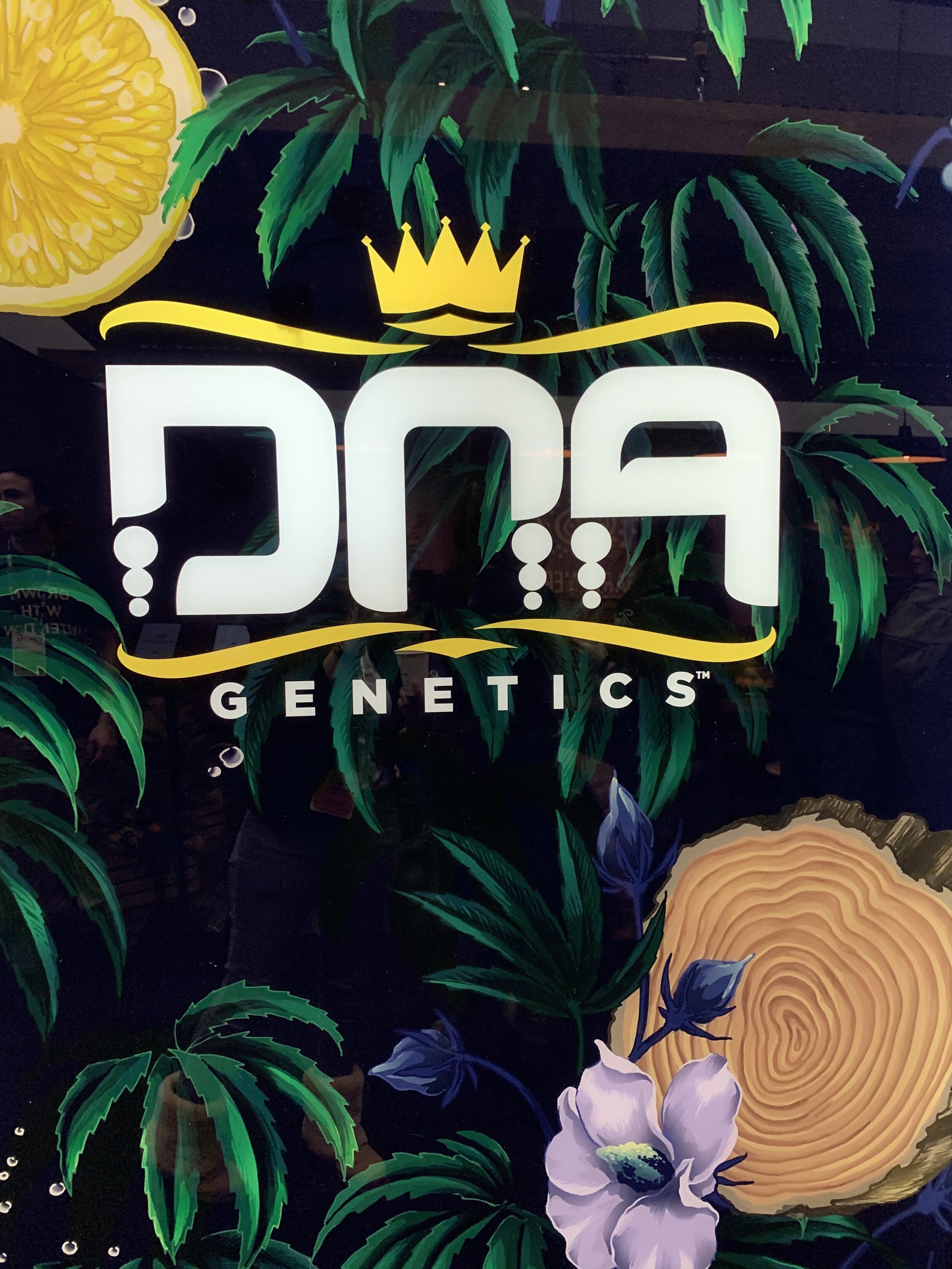 DNA genetics.jpg