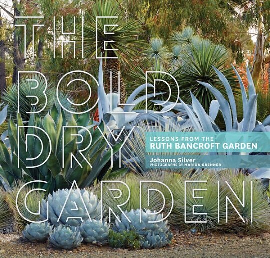 Bold Dry Garden _ Johanna Silver.jpeg