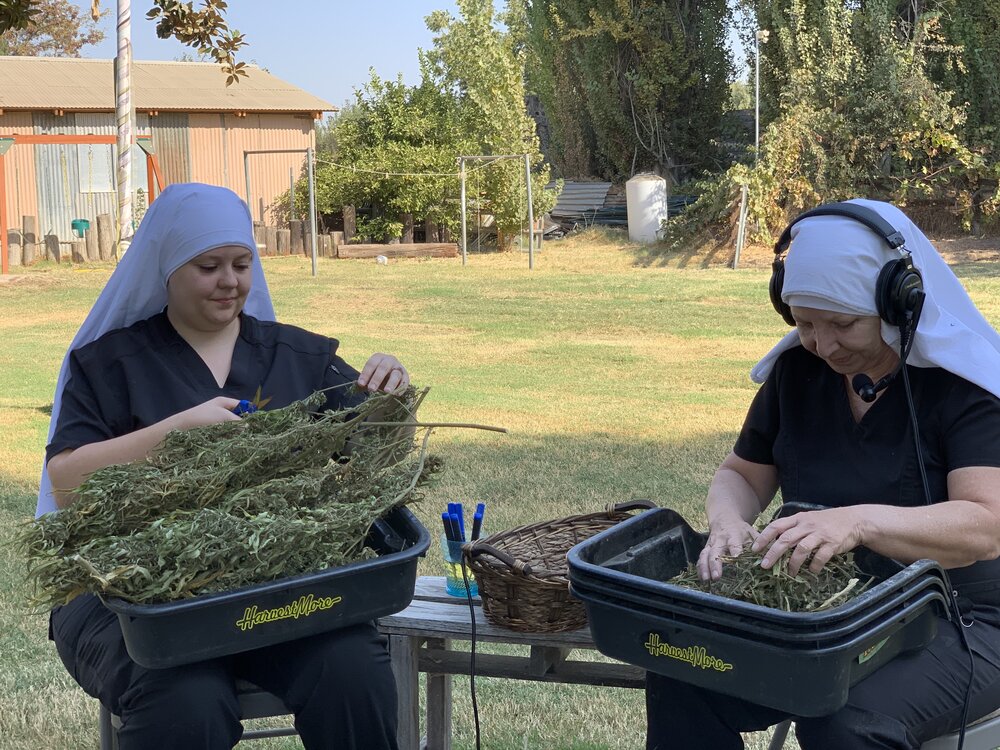 Trimming w the Sisters.jpg