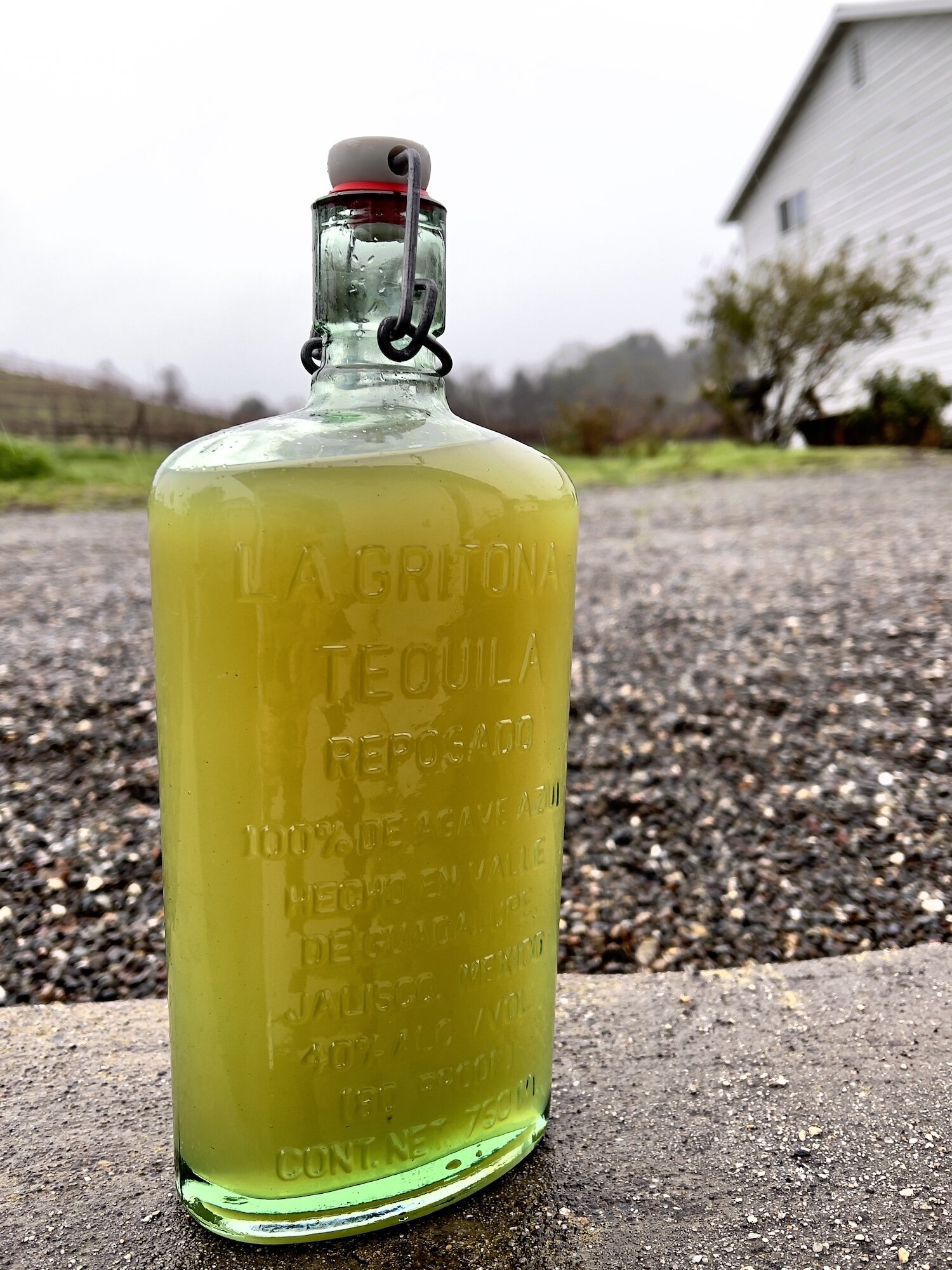 Kathy canna cello bottled.jpg