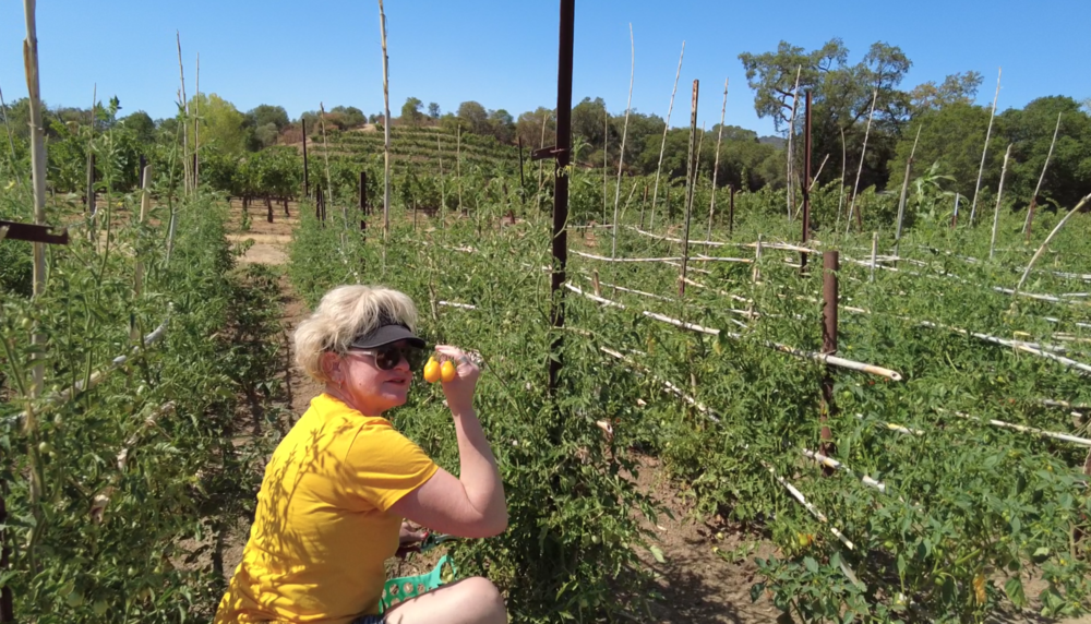 Mel in the veggies.png