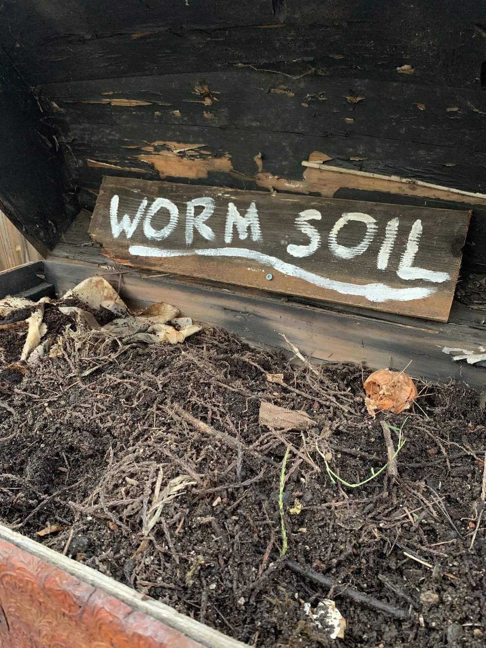 Worm Soil_RAGE lounge_ECHB.jpg