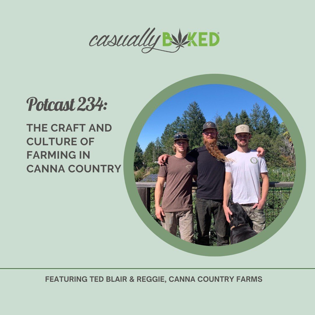 Meet Canna Country&rsquo;s legacy cannabis farmers to understand the ramifications of the corporate cannabis trade-off of quality for quantity. We explore our favorite plant through the experience of farmers whose bond with cannabis and the land runs