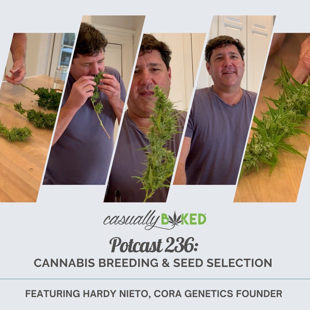 No matter if you&rsquo;re a cannaseur or a canna curious newbie, this conversation will elevate your relationship with the cannabis plant (and might inspire your next travel adventure). Potcast 236 features @coragenetics - a pioneer in developing uni