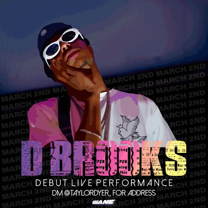 dbrooksliveperformance.gif