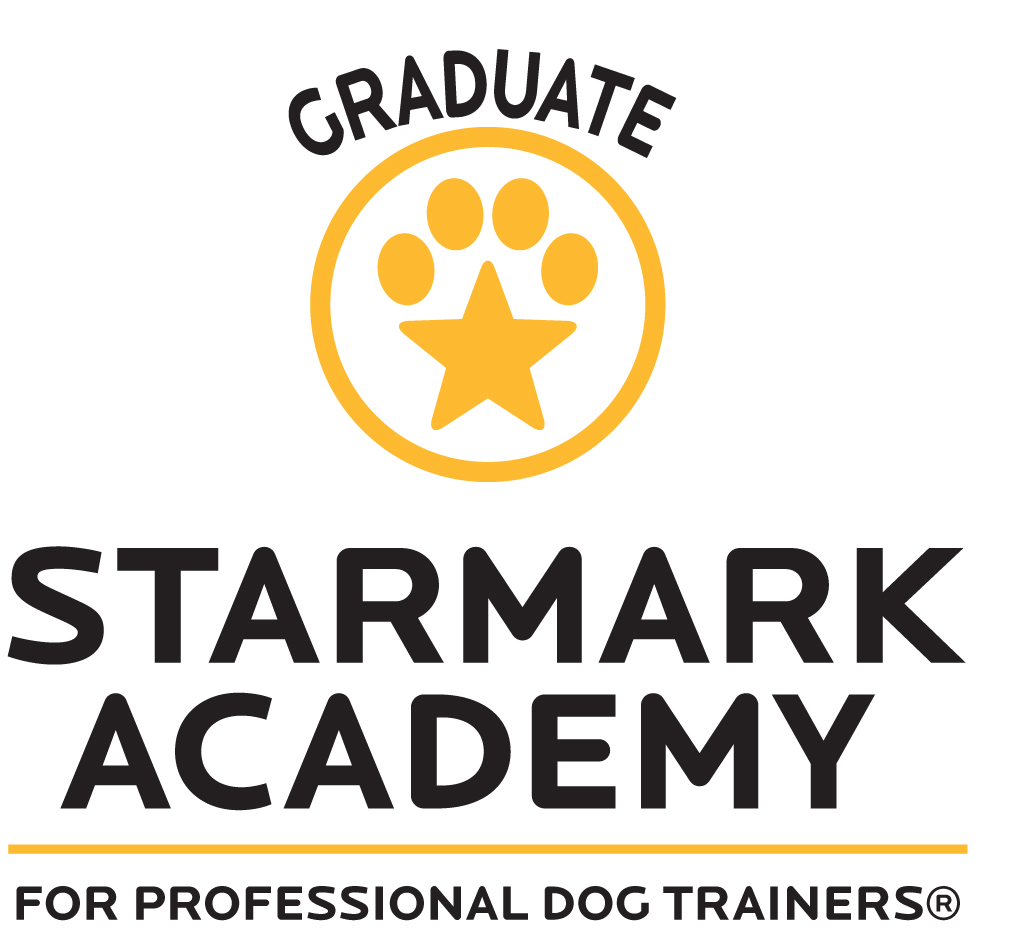 Starmark-Academy-logo-all-V-grad.jpg