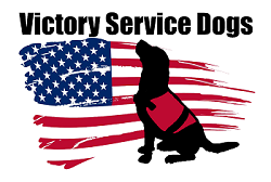 Victory-Service-Dogs-Logo_250.png