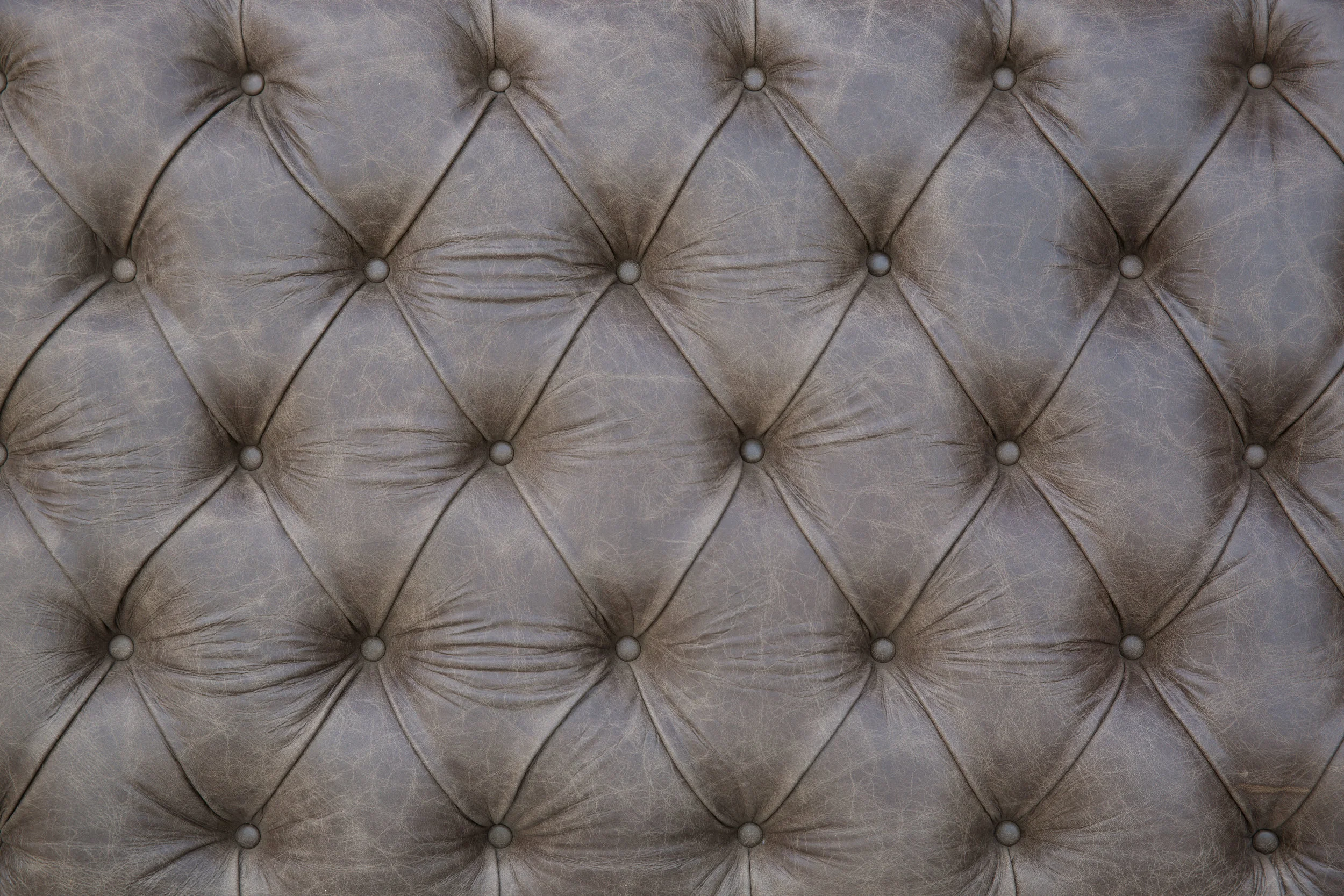 390A0287-2.JPG