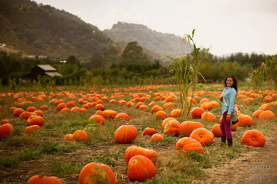 0047_cumple_suegro_bates-nut-farm-pumpkin-patch_101013-edit