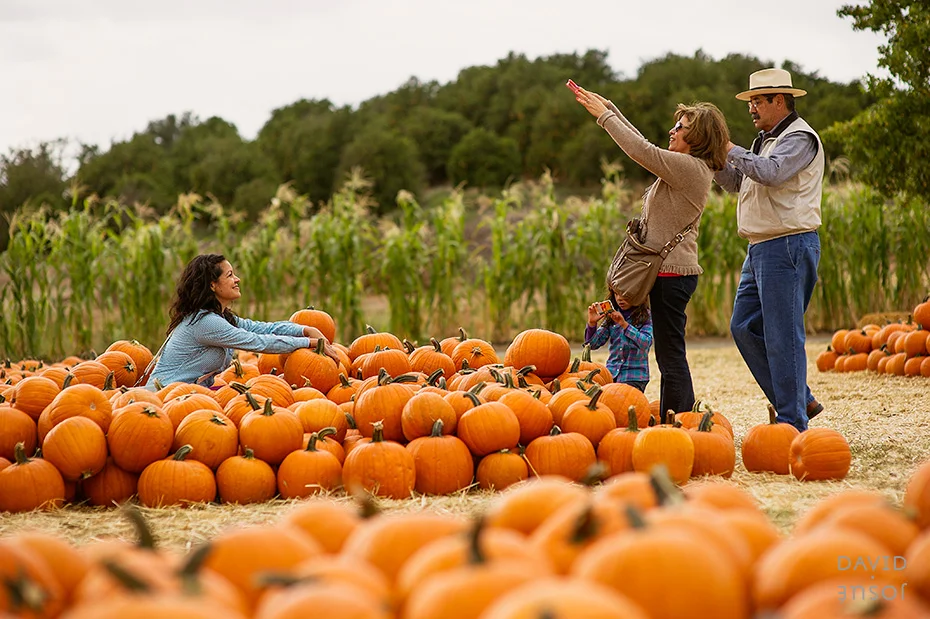 0073_cumple_suegro_bates-nut-farm-pumpkin-patch_101013-edit