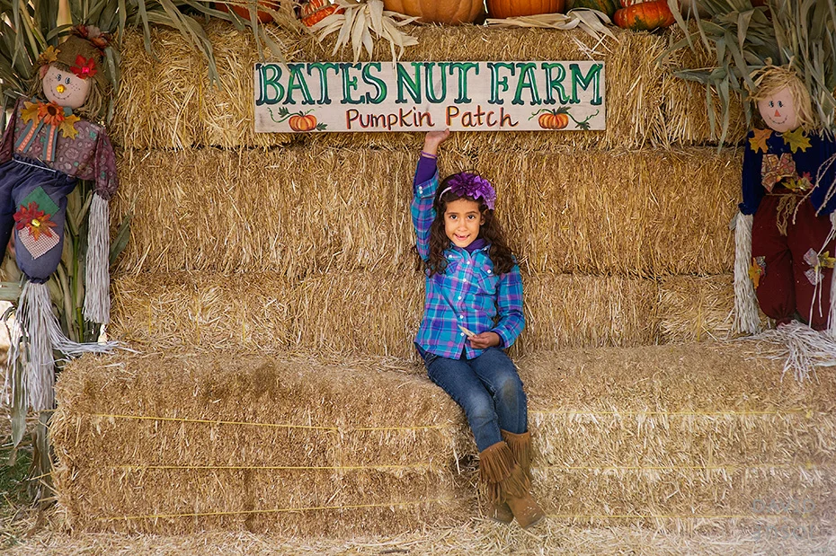 0105_cumple_suegro_bates-nut-farm-pumpkin-patch_101013-edit