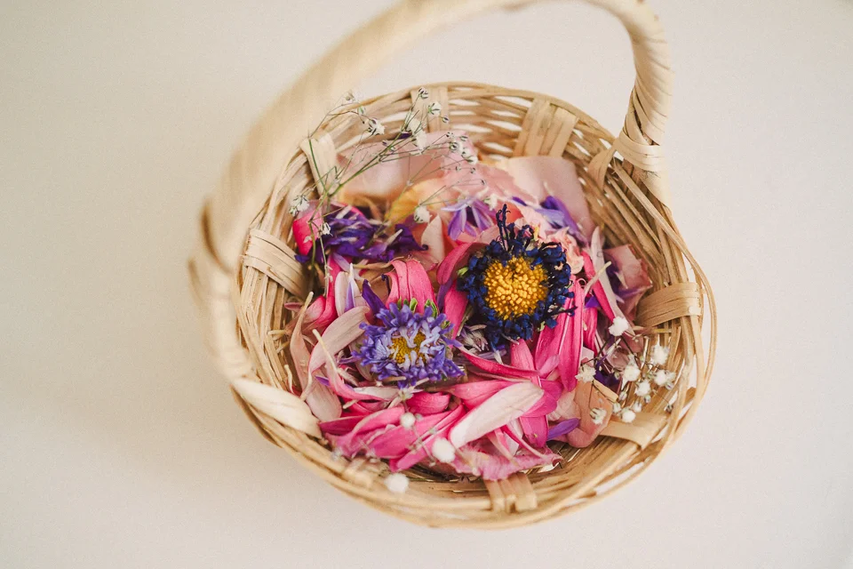my-pumpkin-flores-secas-10