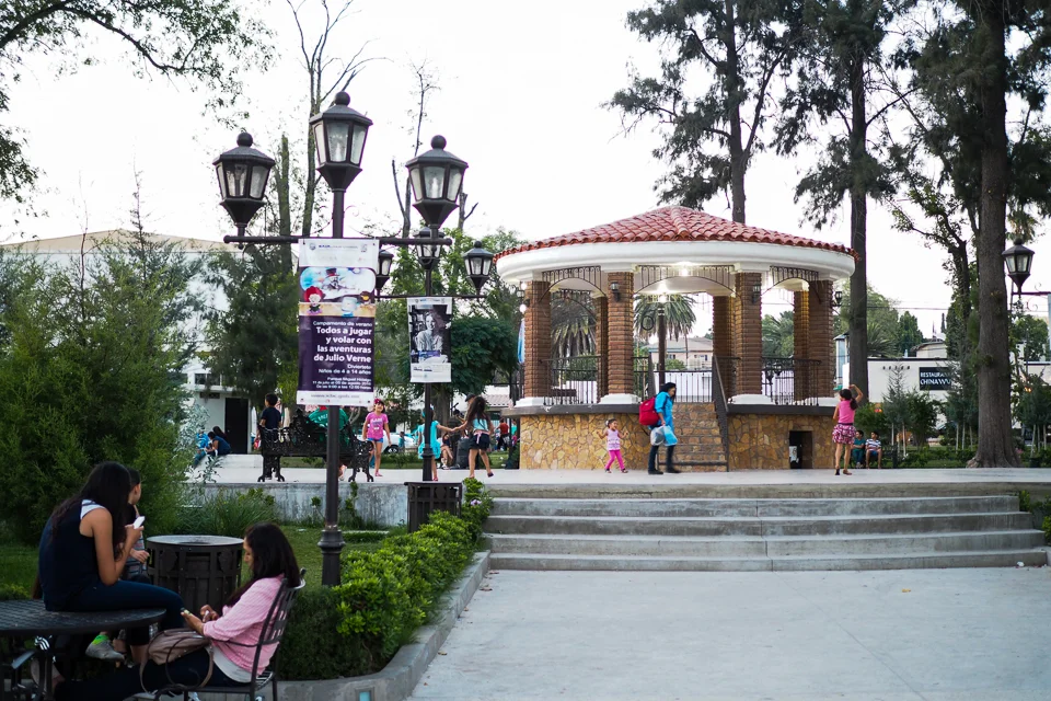 my-pumpkin-plaza-miguel-hidalgo-13