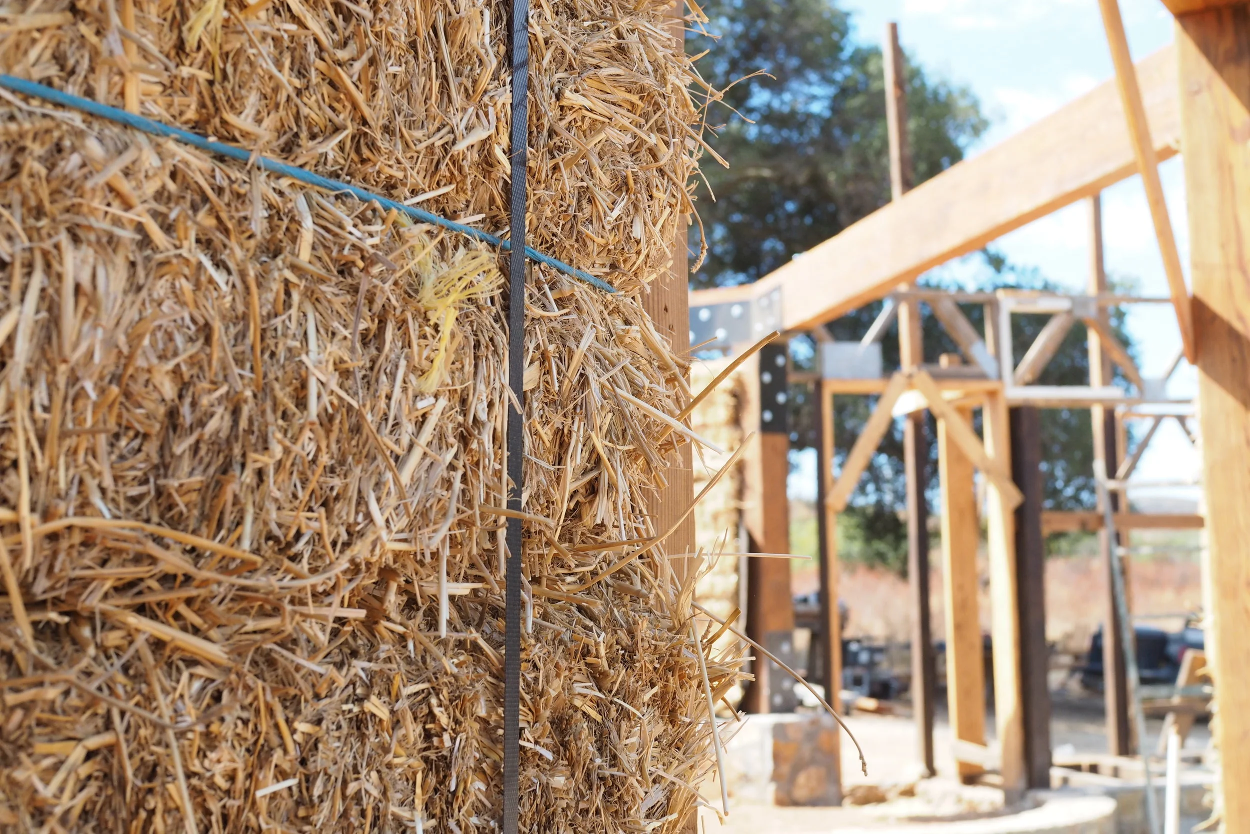 UN SUEÑO EN LAS FALDAS DEL CUCHUMÁ