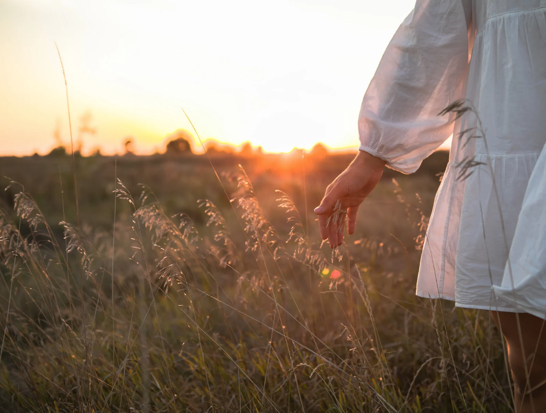 Screen Shot 2026-01-15 at 8.54.49 AM.png