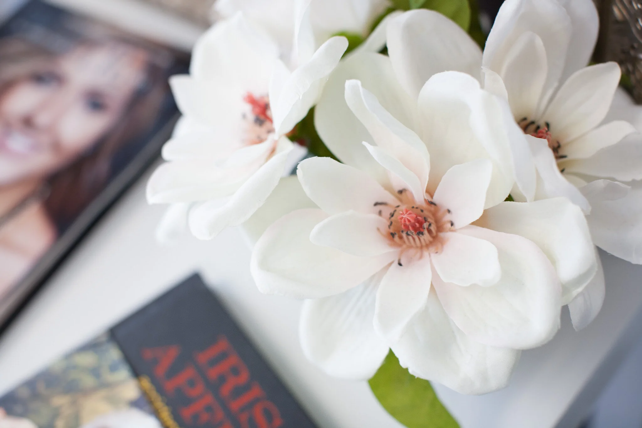 portrait studio new braunfels photographer