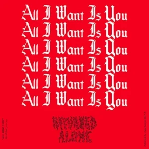 All I Want Is You.jpg