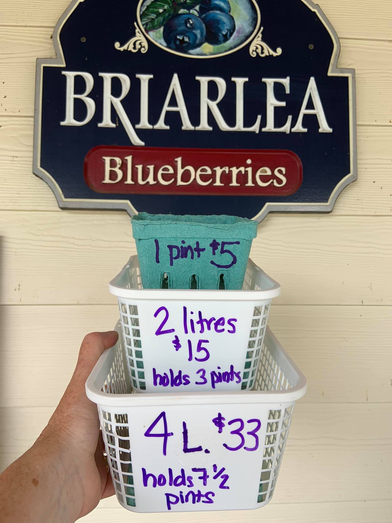 briarlea blueberries.jpg