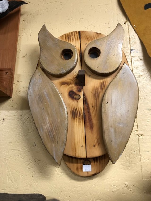 Wood owl.jpeg