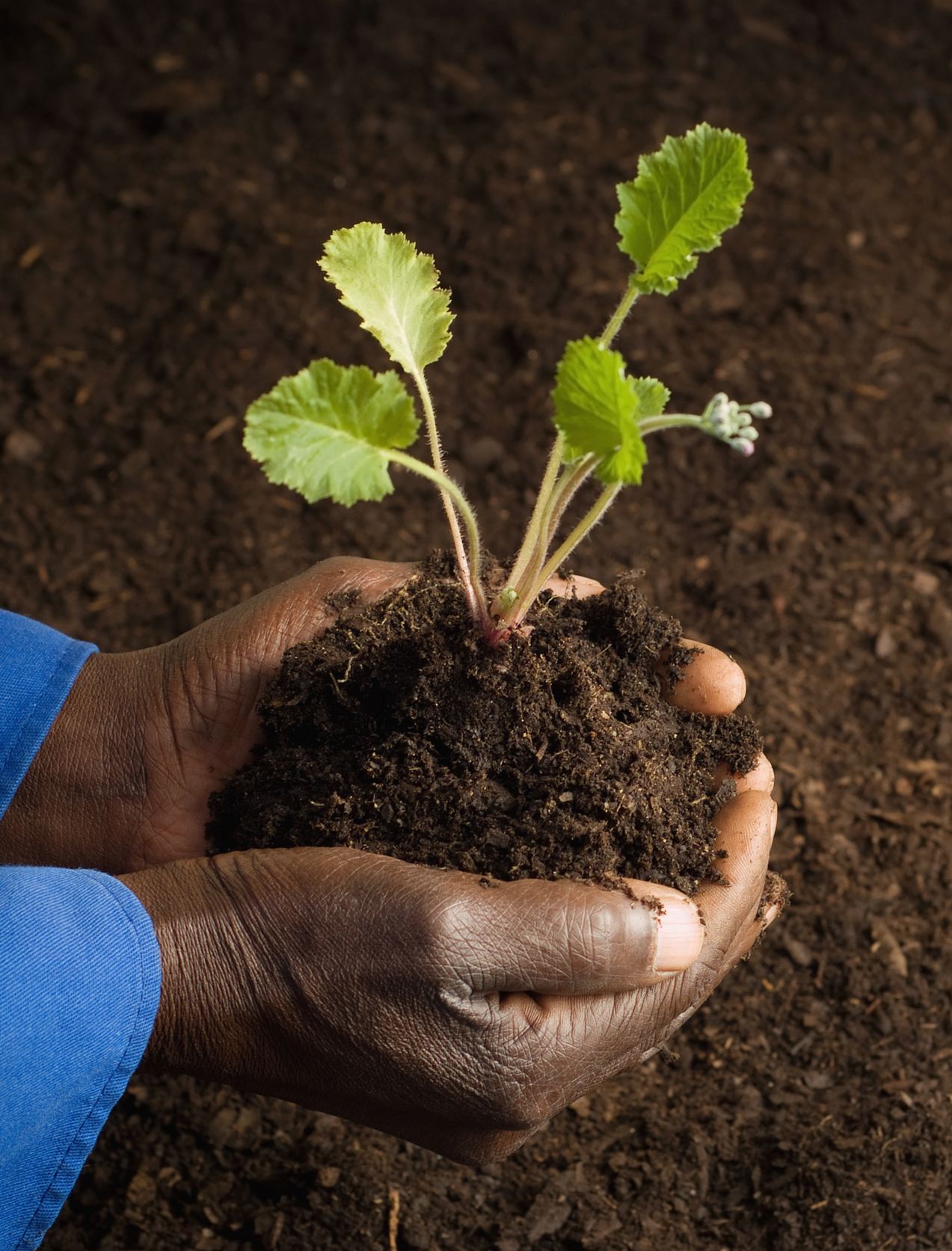 Draft GGE Strategic Plan-1.png