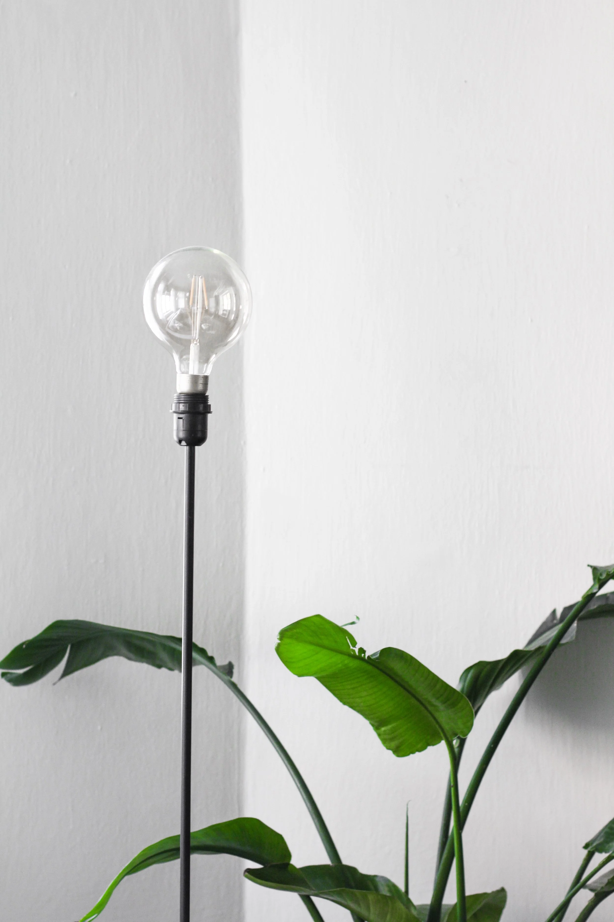 Minimalism: Why We Choose to Live a Simpler Life