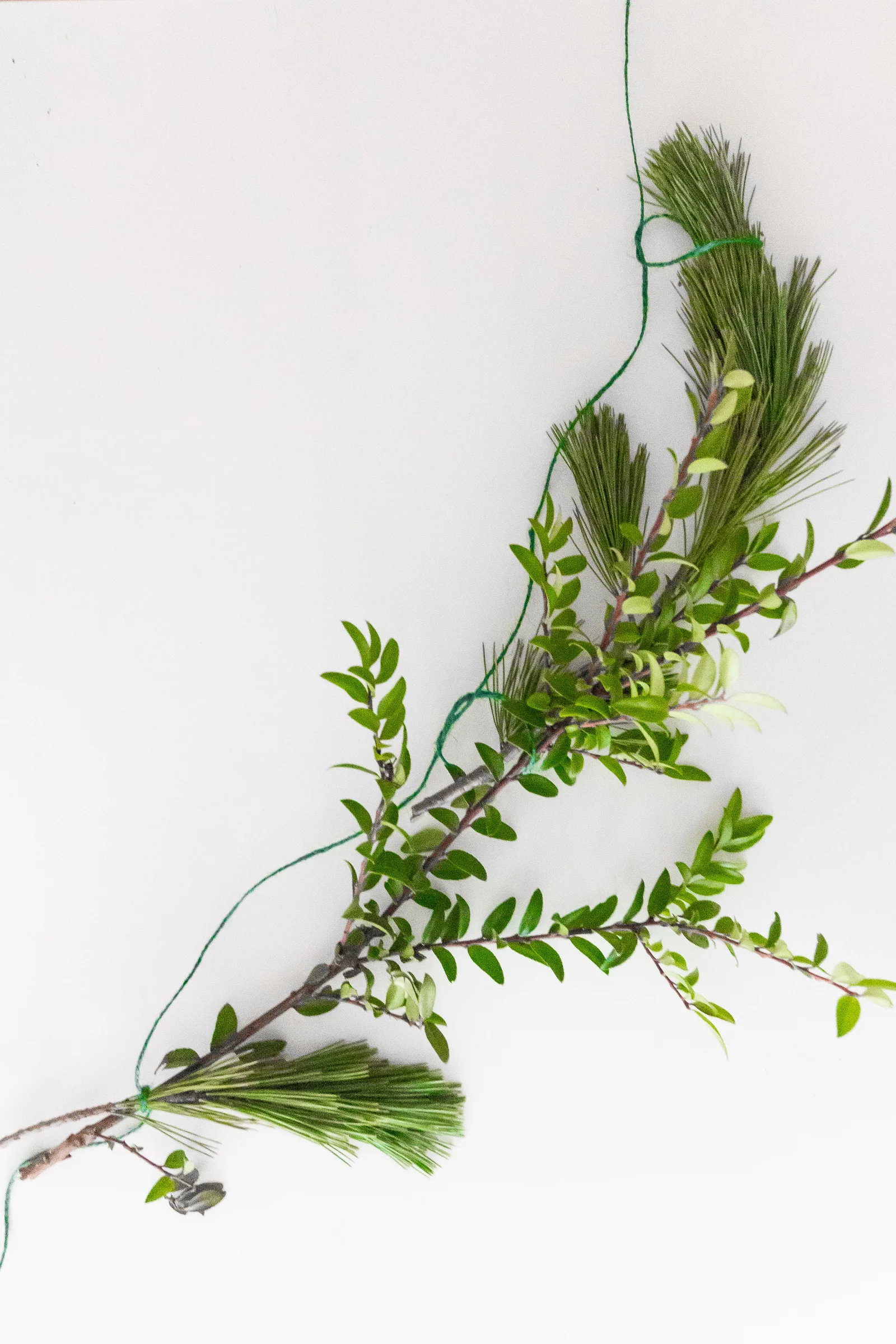 Greenery garland knotted together