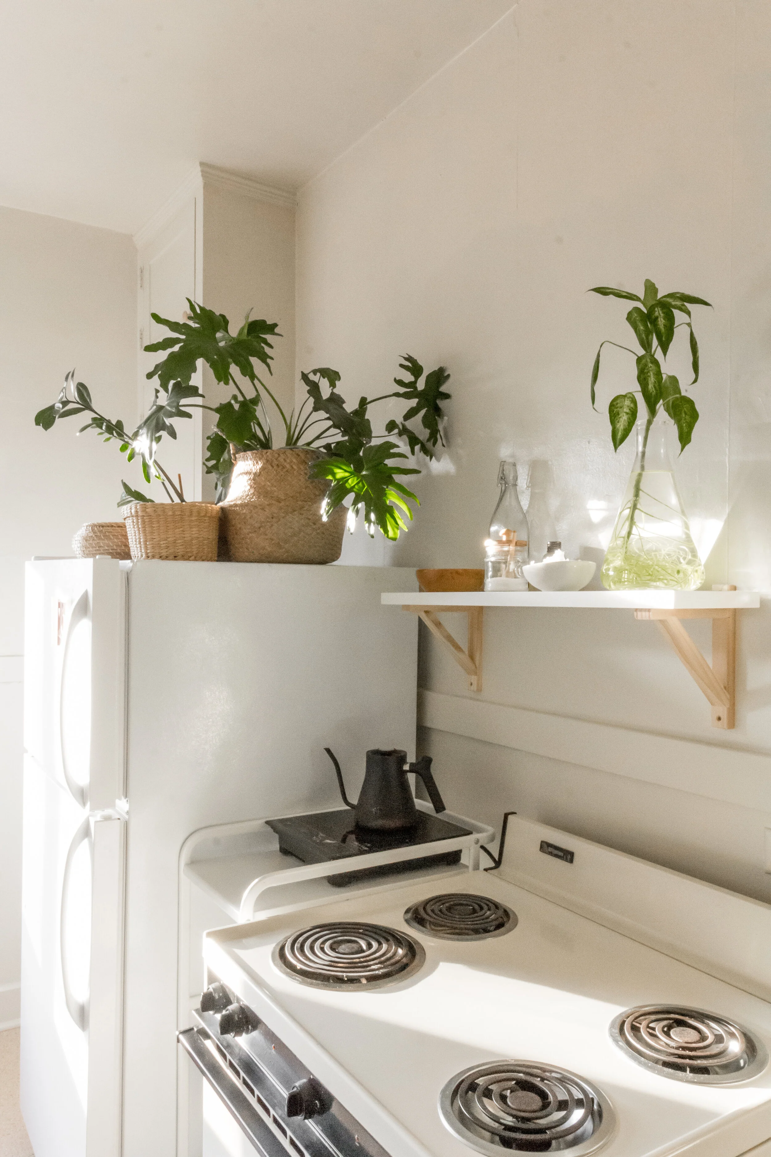 DIY Rental Kitchen Makeover For $100 — Chloe Rey