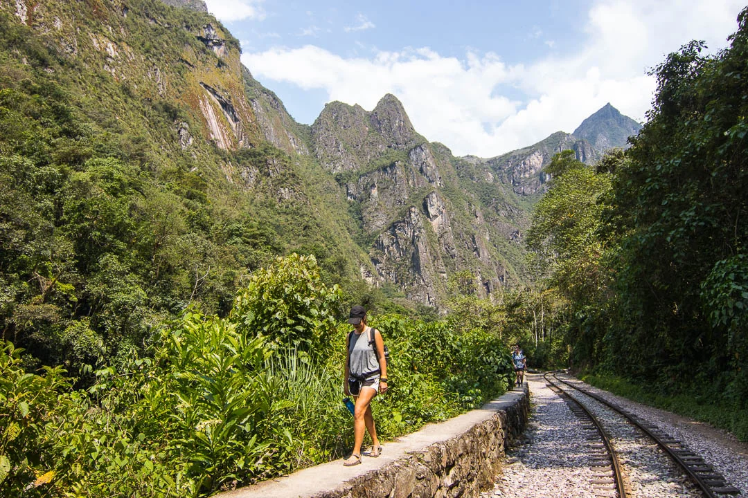 IMG_3343Inka Jungle Corinne Train Tracks.jpg