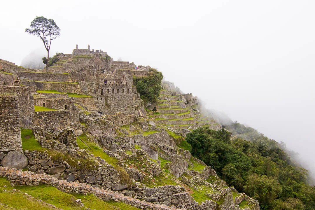 IMG_3565Inka Jungle Machu Picchu Side.jpg