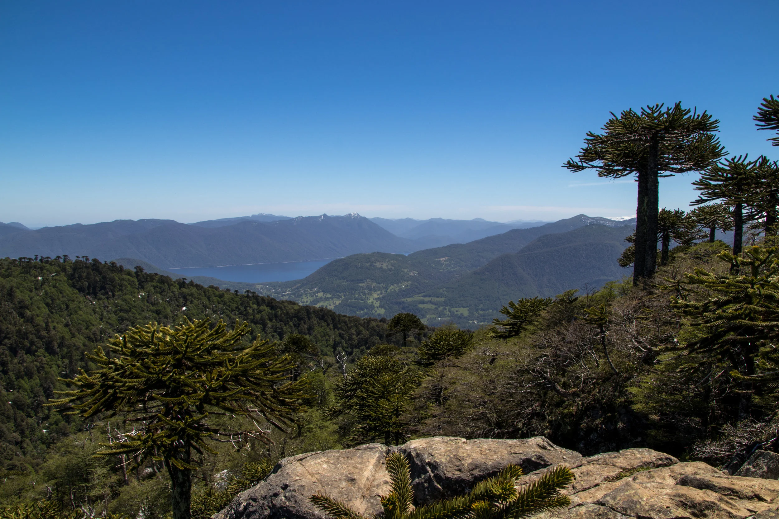 IMG_7445Pucon 11.jpg