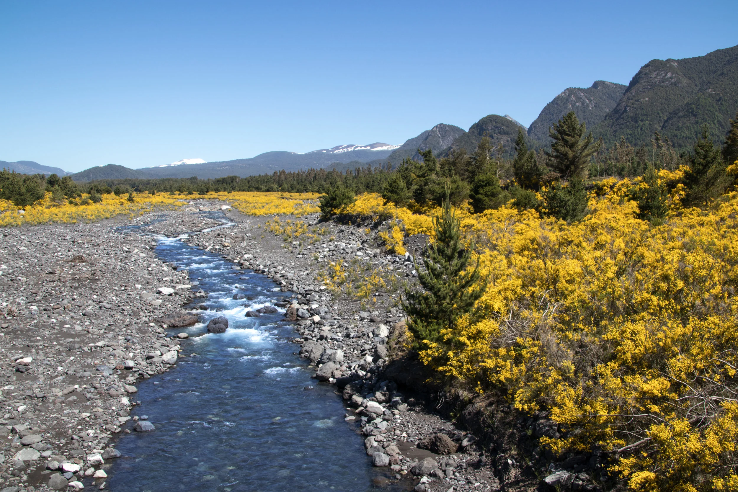 IMG_7055Pucon 13.jpg