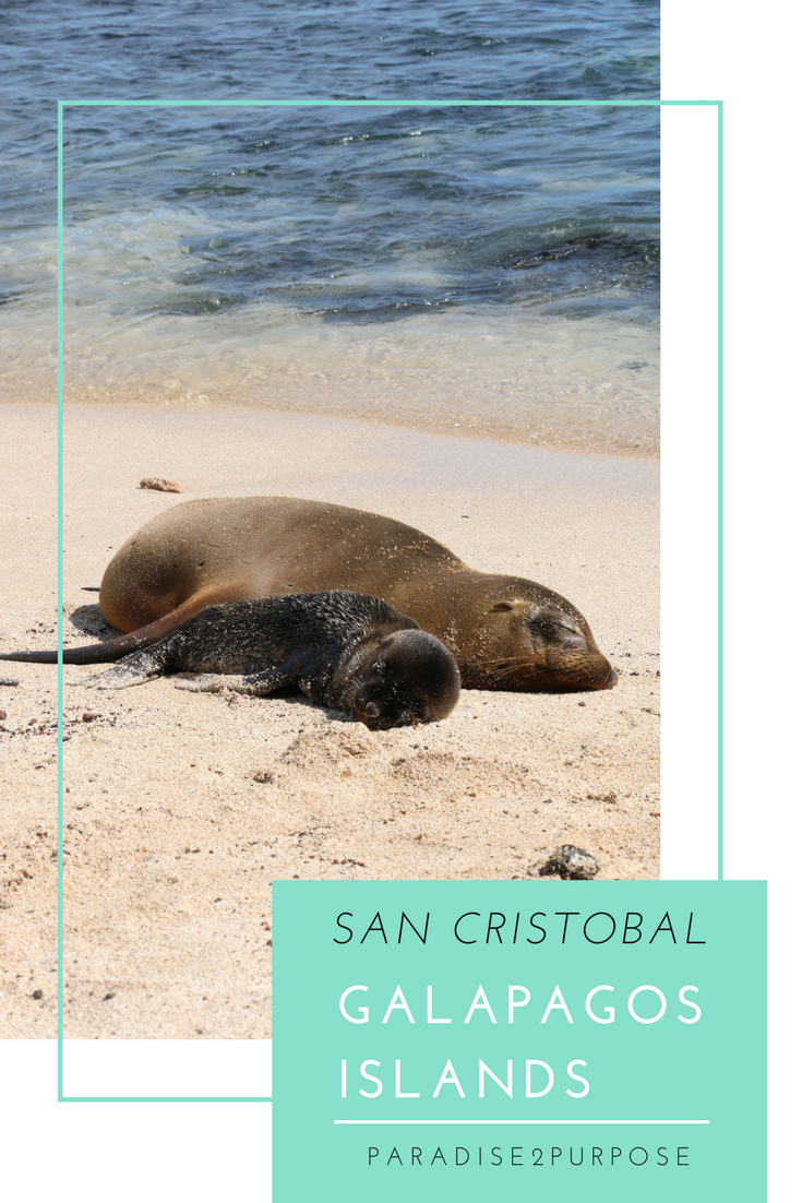 SAN CRISTOBAL GLAPAGOS.png
