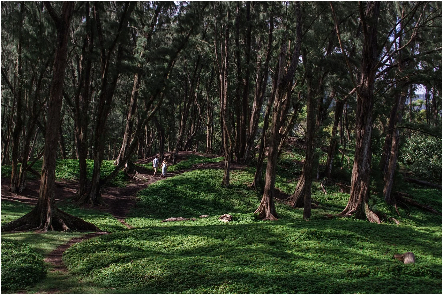 Hawaii-Valley-Adventure-Session-photos-by-Aloha-Zoe-Photography-18.jpg