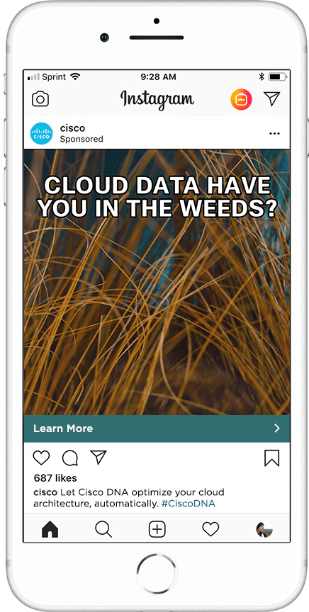 Cisco_Instagram_weeds.gif