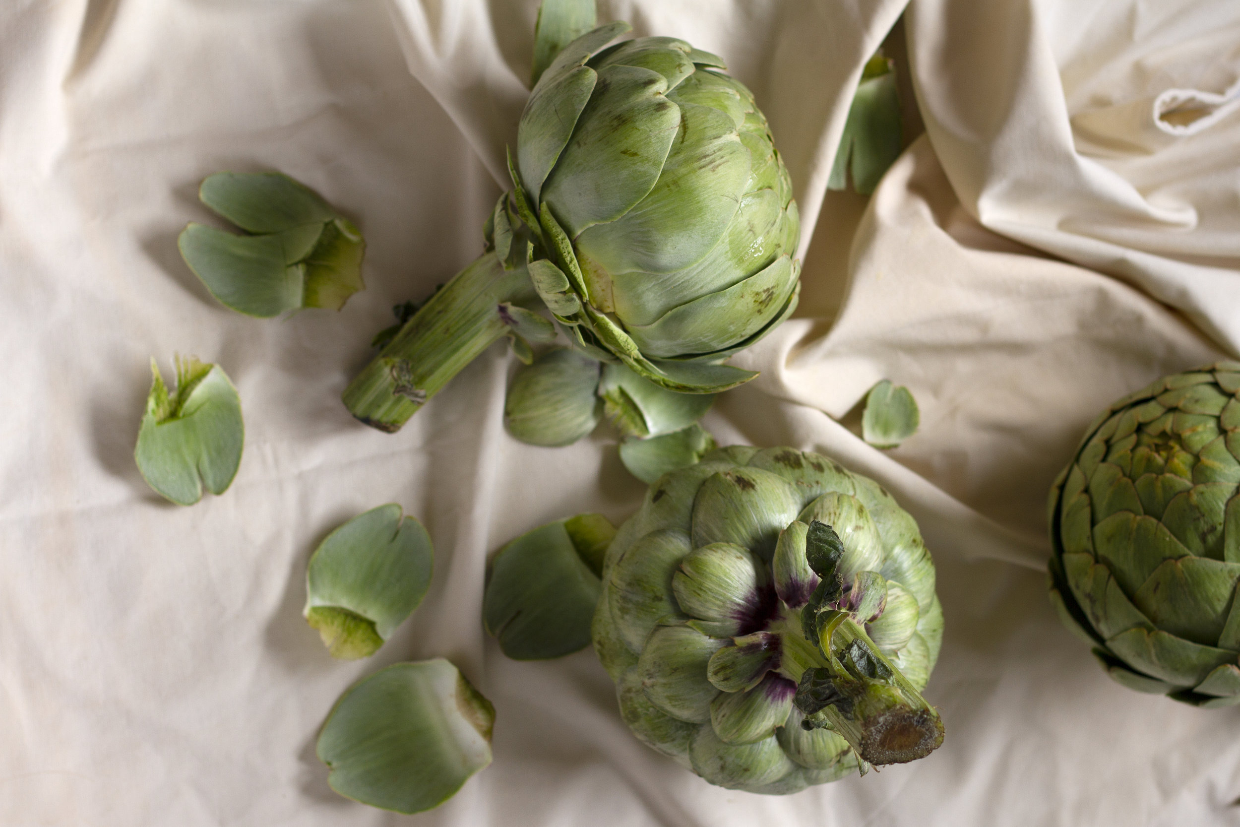 artichoke1.jpg