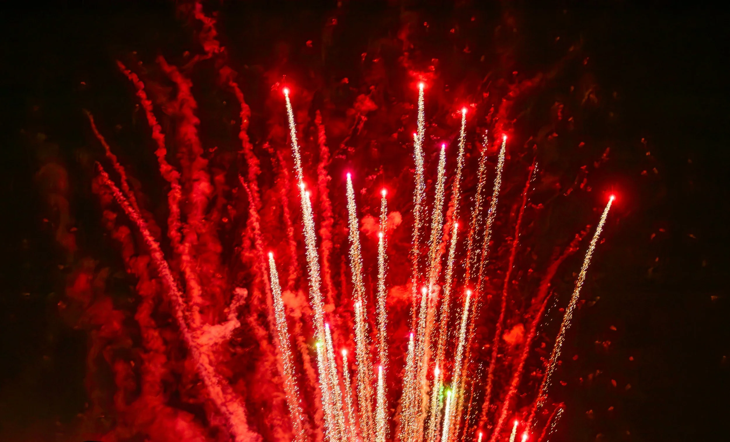 New Years Day