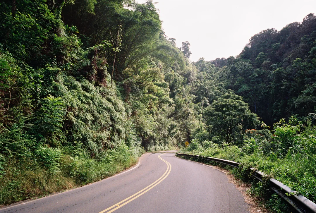 HAIKU, HI • CONTAX G2 • KODAK GOLD 200