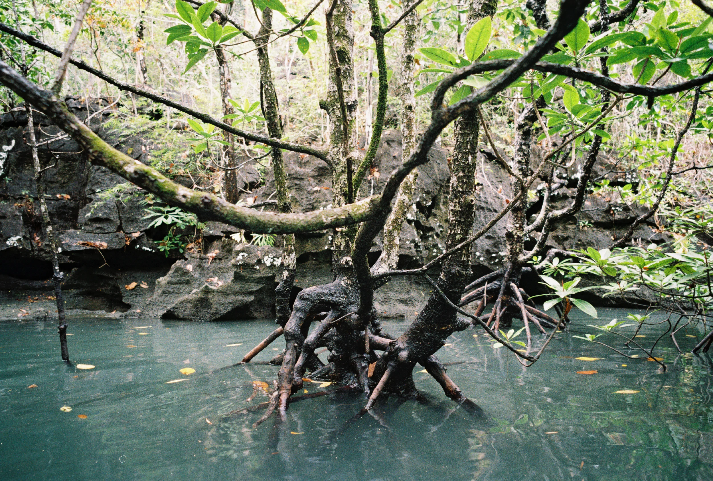LANGKAWI, MALAYSIA • CONTAX G2 • KODAK GOLD 200