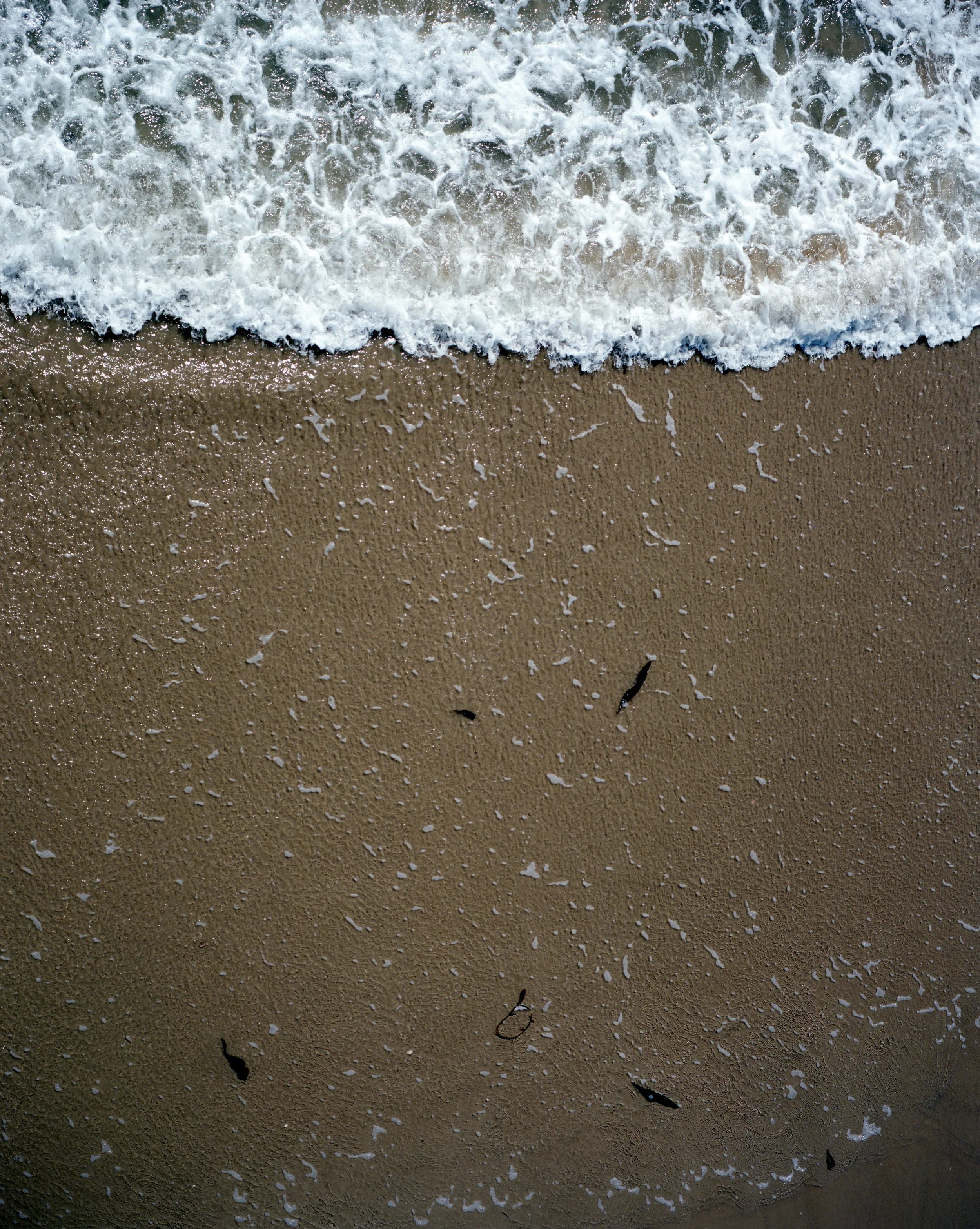 PISMO BEACH, CA • MAMIYA 7II • KODAK PORTRA 160NC