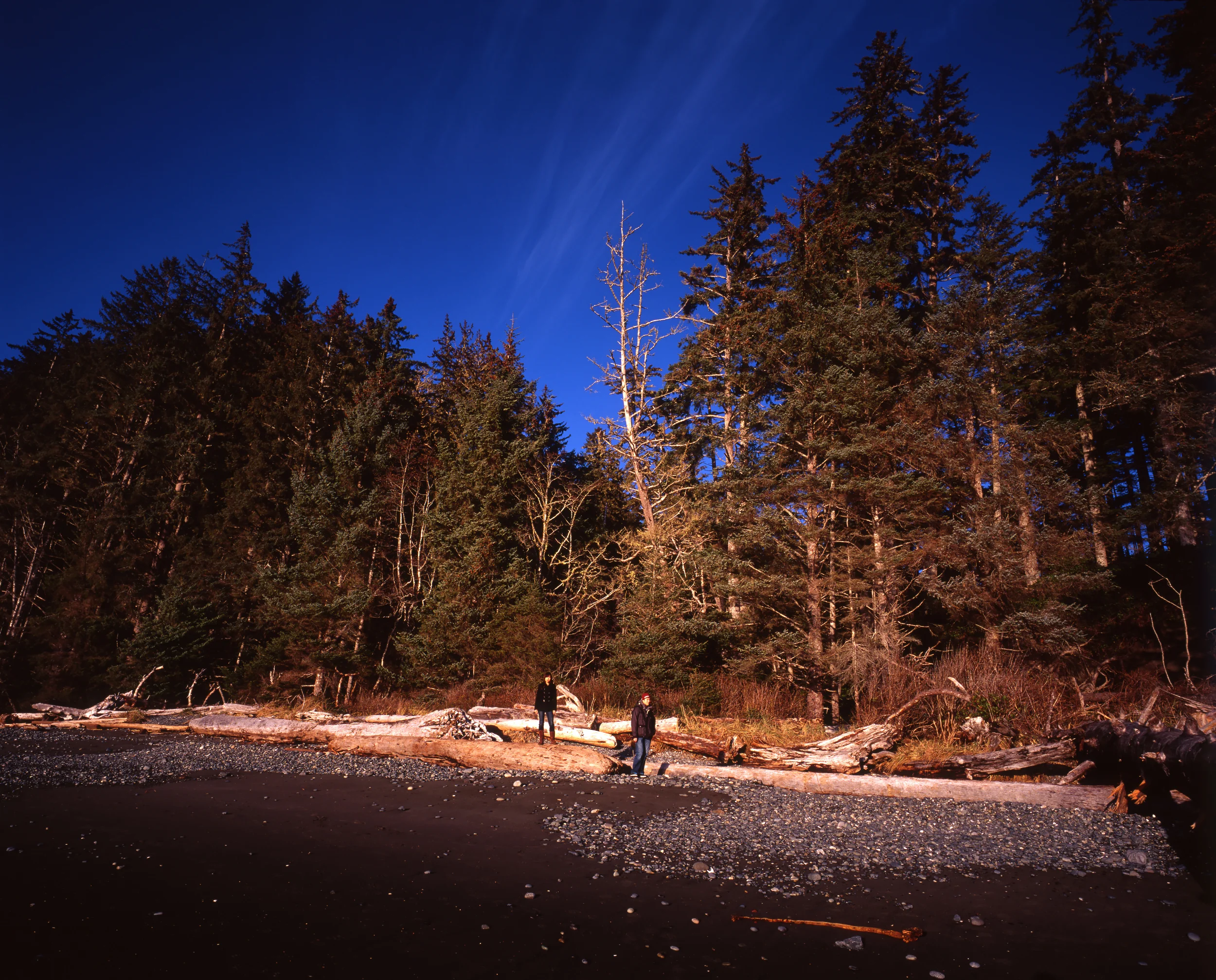 CHINA BEACH, BRITISH COLUMBIA • MAMIYA 7II • KODAK EKTACHROME 100VS