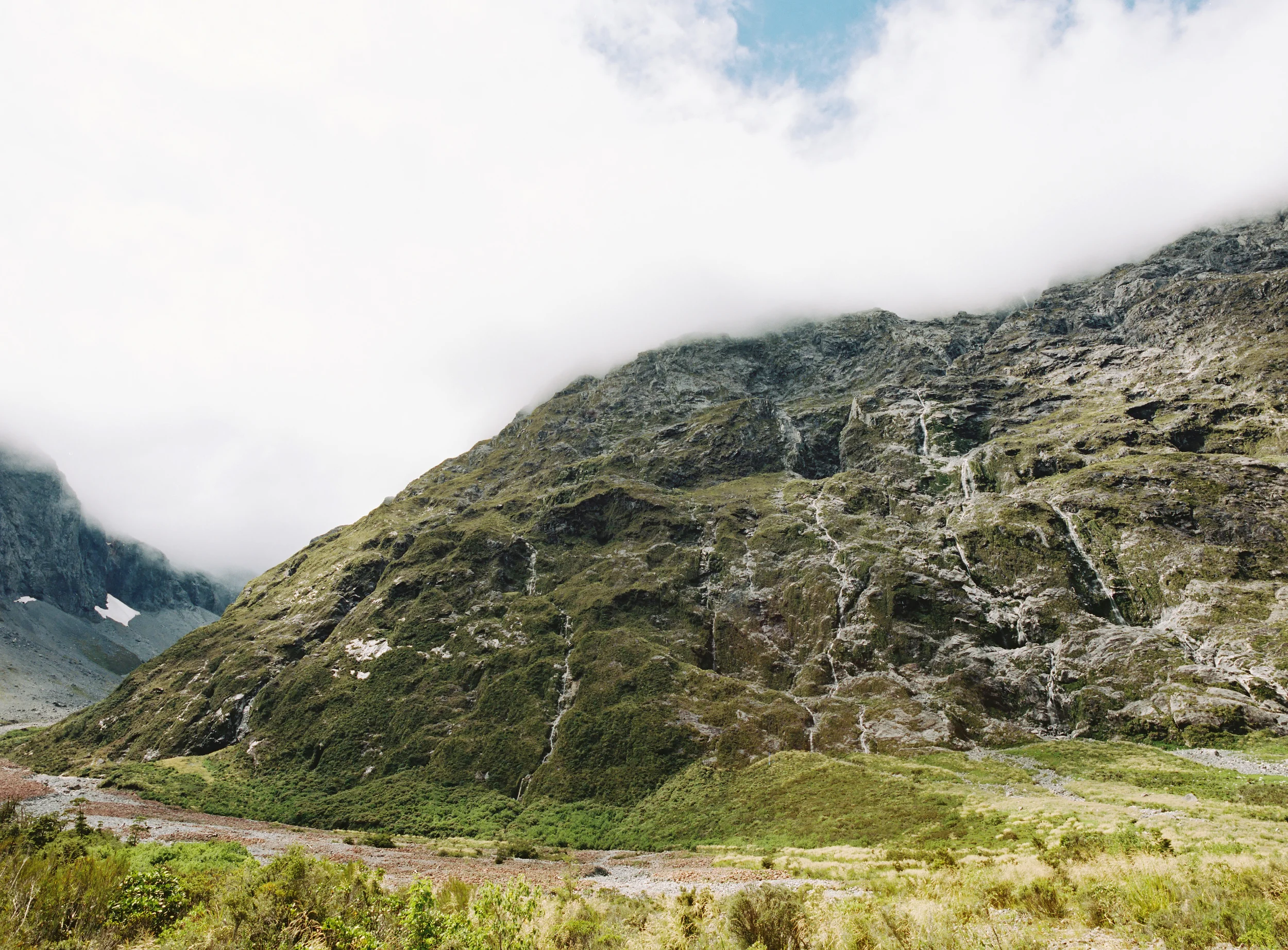 FIORDLAND, NEW ZEALAND • CONTAX 645 • KODAK PORTRA 400
